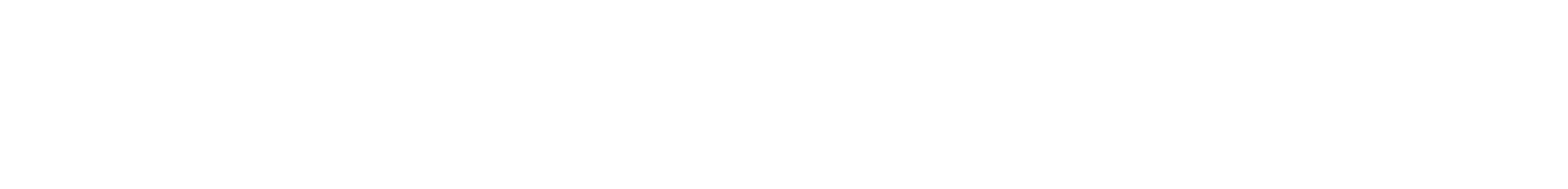 Aviatrix