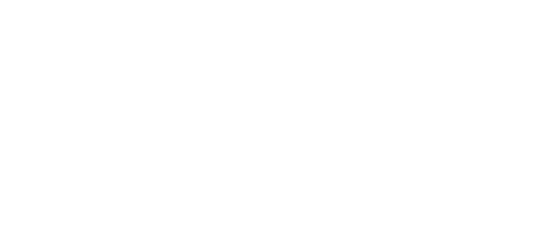 Dlv